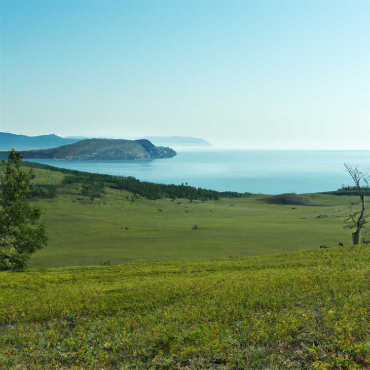 Каспийское побережье: Золотая песчаная полоса и уникальная флора и фауна