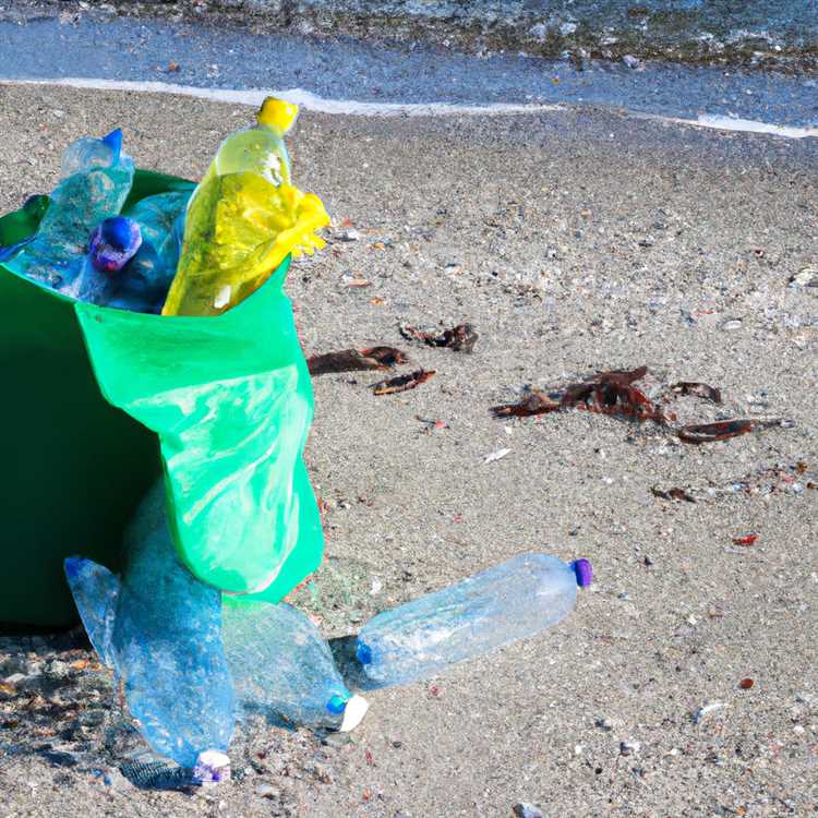 Как найти мероприятия по уборке пляжей рядом с вами в России