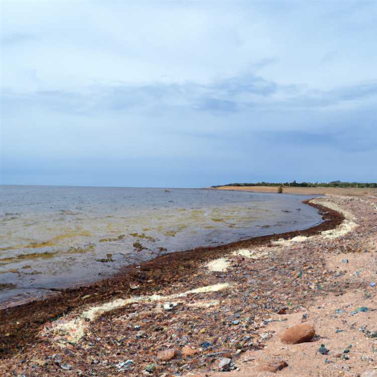 Советы по сохранению и защите природной красоты российских берегов.